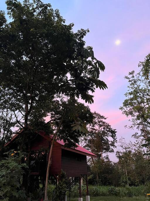 Rincon - La Fortuna